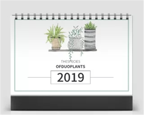 2019年創意簡約小清新桌面擺件 月歷臺歷 工作日歷 翻頁臺歷本